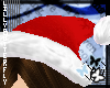 [L] Red Christmas Hat