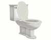 Gray Toilet
