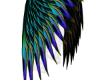 peacock wing arms