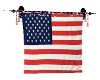 [TK] USA Heraldic Flag