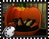 (*A) Pumpkin Chair