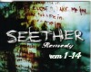 Seether: Remedy
