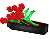 13 Roses Coffin