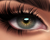 Eyes - Hazel
