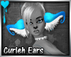 D~Curleh Ears: Blue