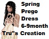 Spring Prego 6-9 month