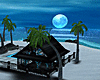 Moonlight Dream Beach