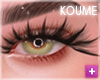▼ Lashes 2026 DRV
