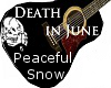 Death in June PfS guitar