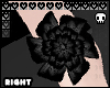 [CS] bby flower black R