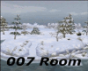 007 Snow room