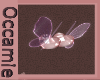 Amora Love flies