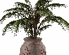 palm in leather vase 2