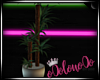 .L. Tall Potted Plant