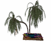 Lovers Tree Float