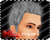 [HL]Slick Gray Hair