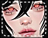 *Y* Lashes + Lip Glos
