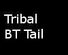 .:.Sou.:. Tribal BT Tail