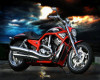 Harley Shutter Picture