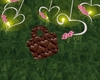 coco hearts