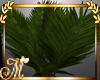 MBR}. Reflect palm leaf 