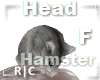 R|C Hamster Gray Head F