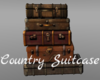 *Country Suitcase