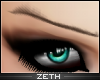 |ZD| Focus Eyebrows CCH