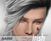-Hairs- Irish Finn Ombre