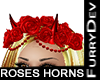 ROSES HORNS