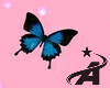 Blue  Belly Butterfly