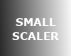 SL Small Scaler