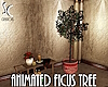 SC Animated Ficus Tree