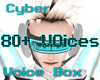 MRobot Voice Box **