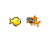 2 swimming  fish