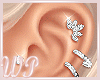 🤍Iced Earrings