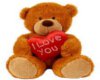 Bear & I Heart U  