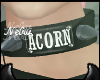 Acorn<3. [N]
