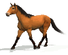[m58]sticker horse