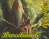 BROCELIANDE Farfalet 4