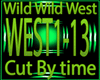Wild Wild West Time