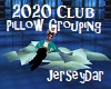 Club 2020 Pillow Group