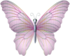 {NxI} Pink Butterfly