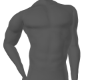 TYR torso