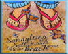Sandy Toes Picture