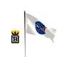 Ani NASA Flag Draped