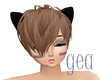 GEG | Short brwn