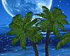 Dreamy Island Palm Trees