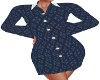 Ivy Shirt Dress-1