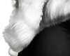 Fur Coat Luxe
